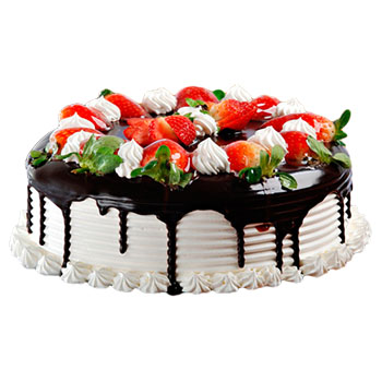 Cake 16